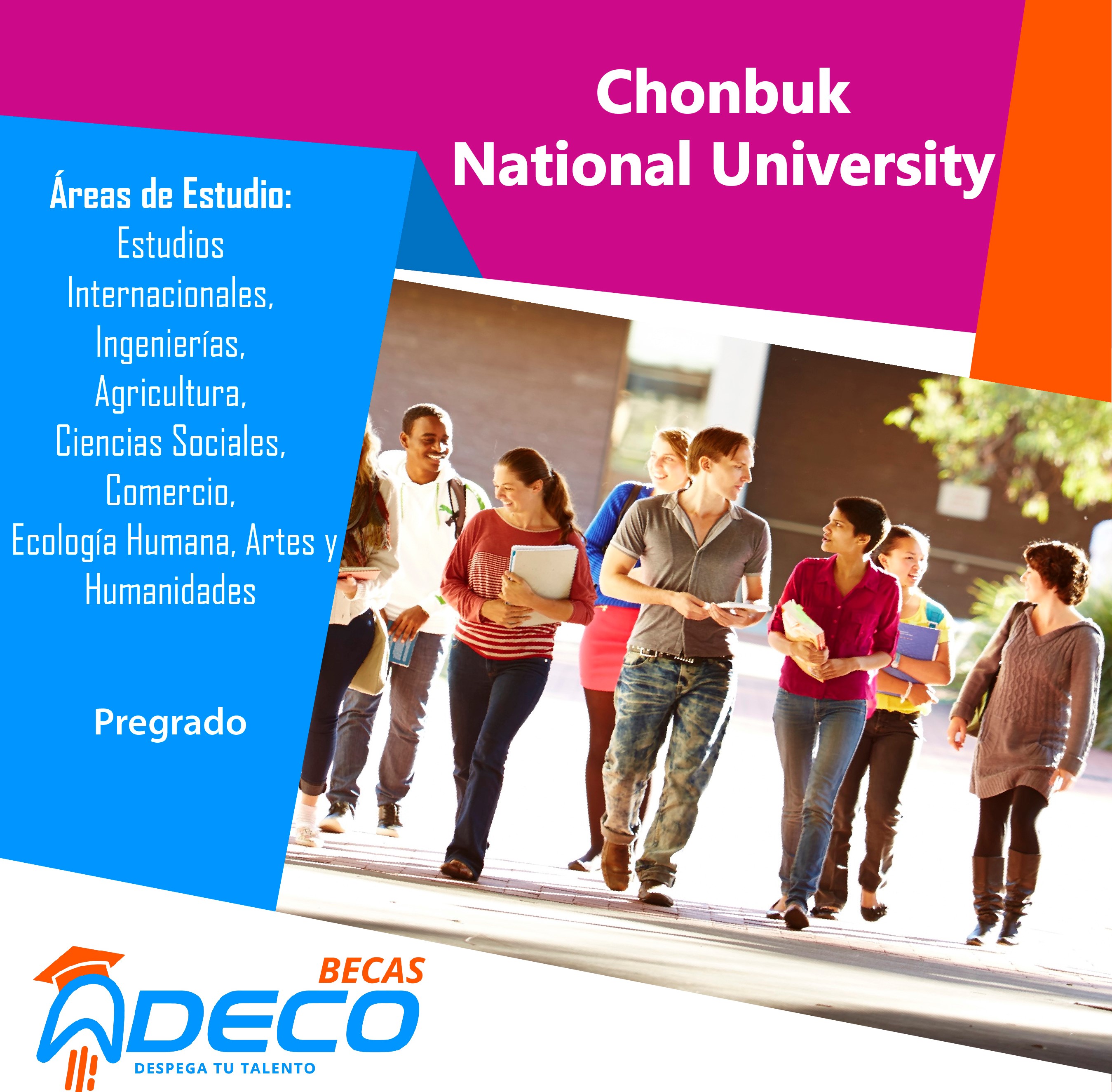 Ofertas para Pregrado Chonbuk National University